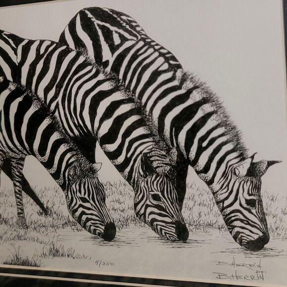 Original Lithograph in Pen & Ink, Zebras Drinking Signed Limited Edition #4/250 - Picture 13 of 16